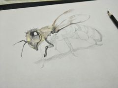 -上海峰子美术教育培训机构(杨浦店)