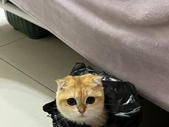 -绿茶餐厅(天通苑华联店)