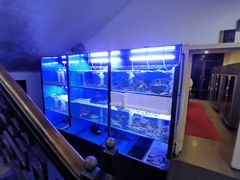 水产区-季家厨房(长江东大街店)