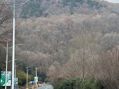 -南京老山国家森林公园