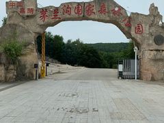 -茅兰沟国家森林公园