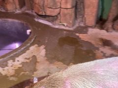 -正佳雨林生态植物园