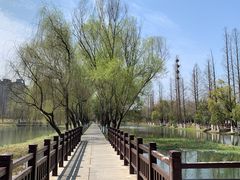 -洋湖国家湿地公园