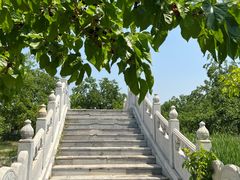 -御林古桑园