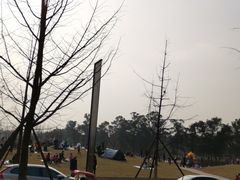 -两河城市森林公园