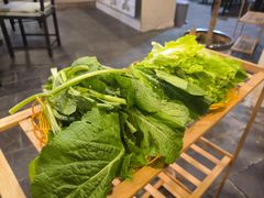 -蘑统田下·野生菌火锅
