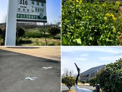-盐城丹顶鹤湿地生态旅游区