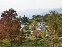 -塔川景区