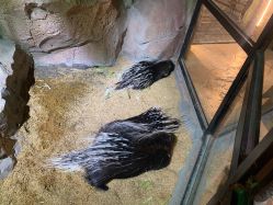 -酷嗒动物文化乐园(cutezoo西溪乐天城店)