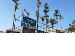 -重庆海昌加勒比海水世界