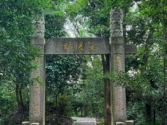 -上海佘山国家森林公园天马山园