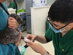 -瑞鹏·疫苗·绝育·宠物医院(金沙洲店)