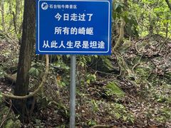 -石台牯牛降景区