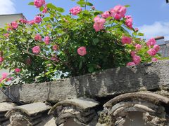 -清漾毛氏文化村