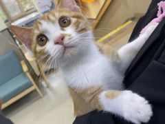 -爱派特动物医院·全科诊疗中心