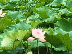 -颐和园
