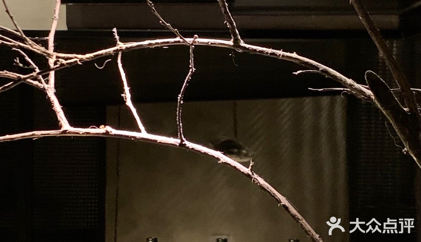成都新店🦀️ 自带仪式感的“蟹黄料理面”🍜