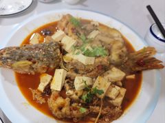 -煲来饱去冷水鱼