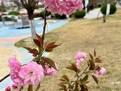 -云里小坐·海泉湾·团建·宴席·下午茶(金堂海泉湾店)