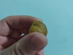 -秋栗香(地安门店)
