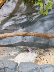 -Zoolung Zoolung动物主题公园(海信广场店)