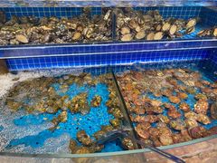 水产区-乔哥铭洋海鲜自助(皇城恒隆广场店)