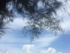 -亚龙湾海底世界