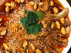 红油肺片-伊兰麒兰馨园·川菜·清真馆(339电视塔店)