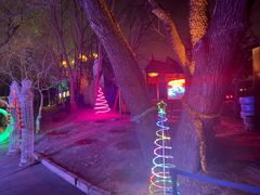 -枫花园汽车电影院(朝阳公园店)