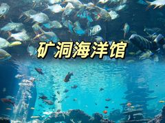 -长鹿旅游休博园