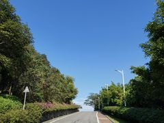 -火炉山森林公园