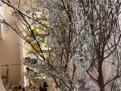 -HUATA 'Holiday Plan 花榻