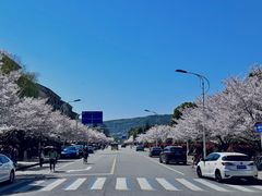 -江南大学(蠡湖校区)