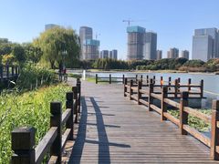 -尚贤河湿地