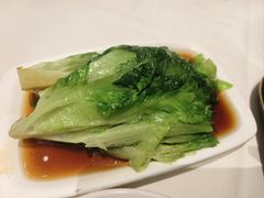 -侨美·唐荔园·40年地道粤菜