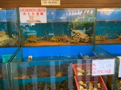 -真浪花园海鲜餐馆