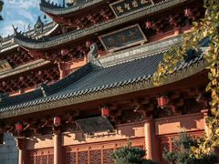 -上海东林寺(金山区)