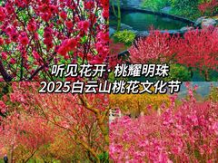 -桃花涧