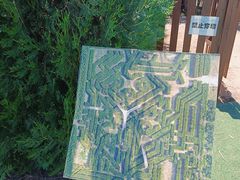 -亲兄弟真人CS团建拓展基地