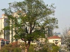 -西北湖绿化广场