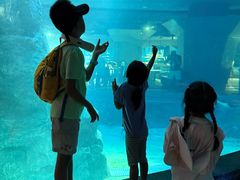 -新加坡飞禽公园