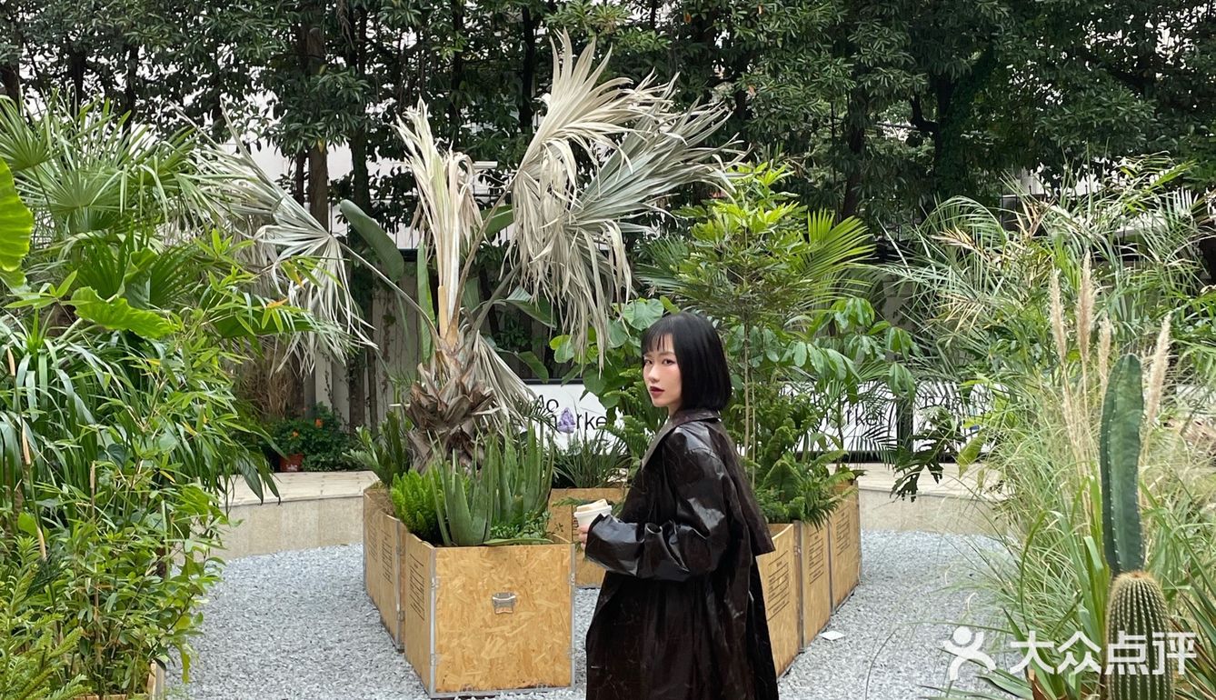 jio趾头疯狂越狱的一天