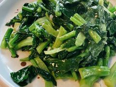 -京北渔家傲
