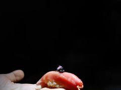 -常熟路(地铁站)