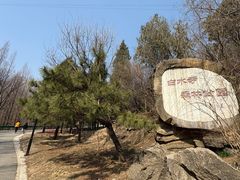 -白水寺森林公园