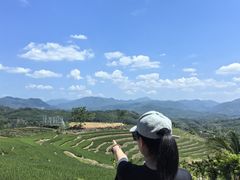 -牙胡梯田