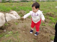 -小鱼草莓采摘园农家乐·小鱼餐厅