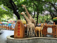 -晓港公园