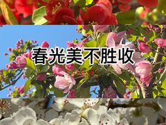 -天津水上公园