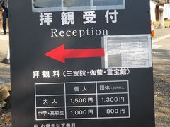 -醍醐寺